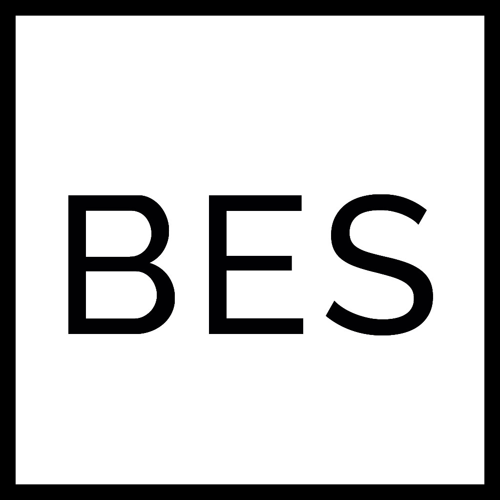 BES Institute | Boy & Erik Stappaerts